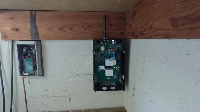 Time-stamped frame at 1:00: Panel Survey